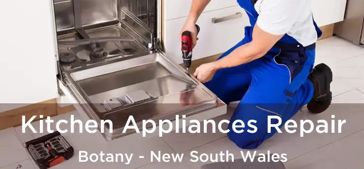Kitchen Appliances Repair Botany - New South Wales