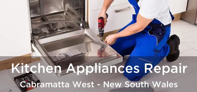 Kitchen Appliances Repair Cabramatta West - New South Wales