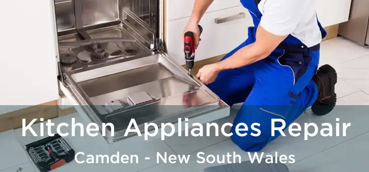Kitchen Appliances Repair Camden - New South Wales