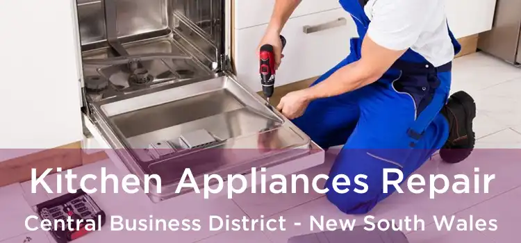 Kitchen Appliances Repair Central Business District - New South Wales
