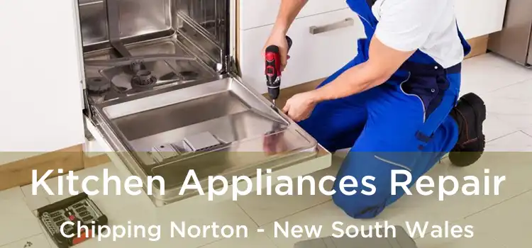 Kitchen Appliances Repair Chipping Norton - New South Wales
