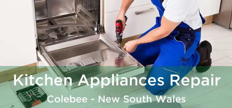 Kitchen Appliances Repair Colebee - New South Wales