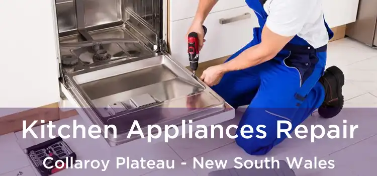 Kitchen Appliances Repair Collaroy Plateau - New South Wales