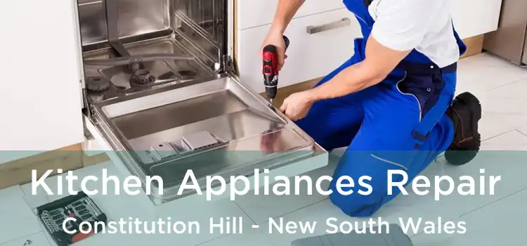 Kitchen Appliances Repair Constitution Hill - New South Wales