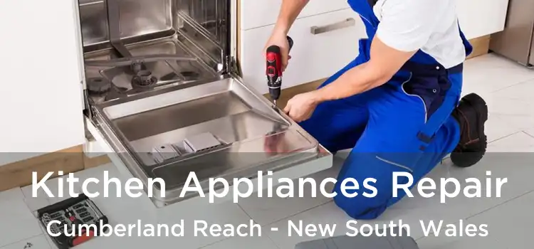 Kitchen Appliances Repair Cumberland Reach - New South Wales