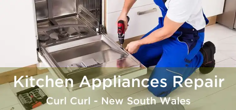 Kitchen Appliances Repair Curl Curl - New South Wales