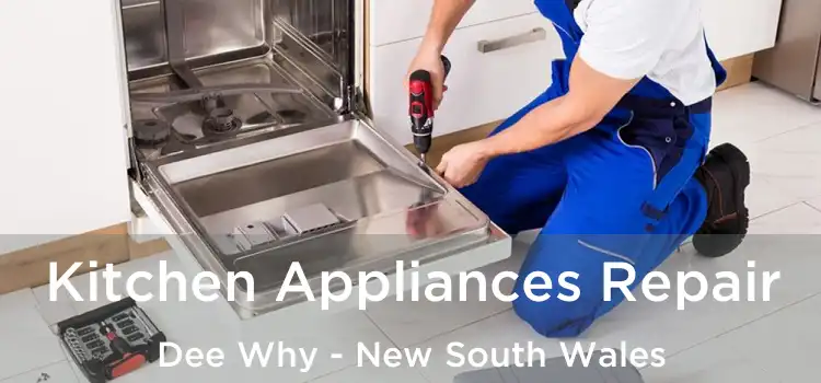 Kitchen Appliances Repair Dee Why - New South Wales