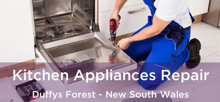 Kitchen Appliances Repair Duffys Forest - New South Wales