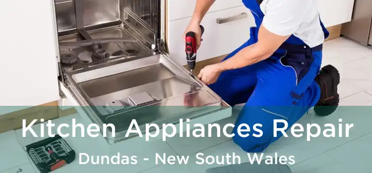 Kitchen Appliances Repair Dundas - New South Wales