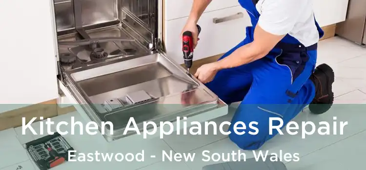 Kitchen Appliances Repair Eastwood - New South Wales