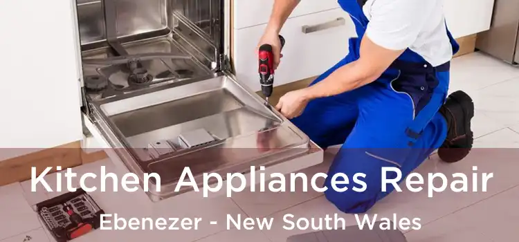 Kitchen Appliances Repair Ebenezer - New South Wales