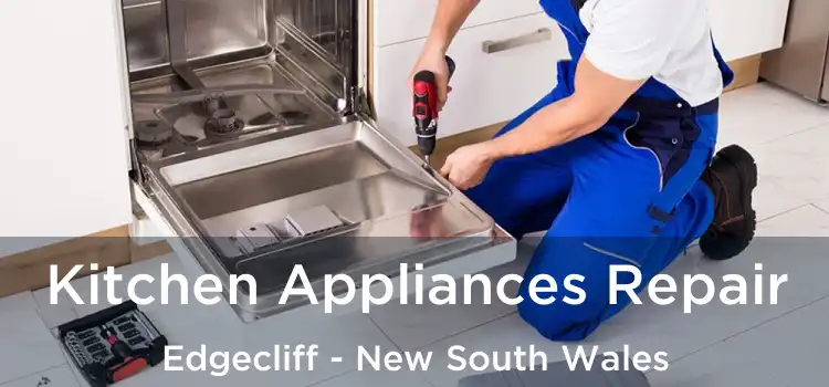 Kitchen Appliances Repair Edgecliff - New South Wales