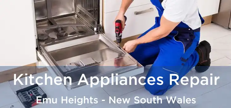 Kitchen Appliances Repair Emu Heights - New South Wales