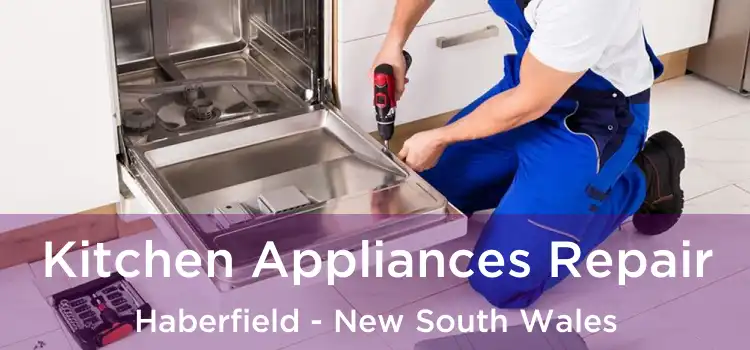 Kitchen Appliances Repair Haberfield - New South Wales