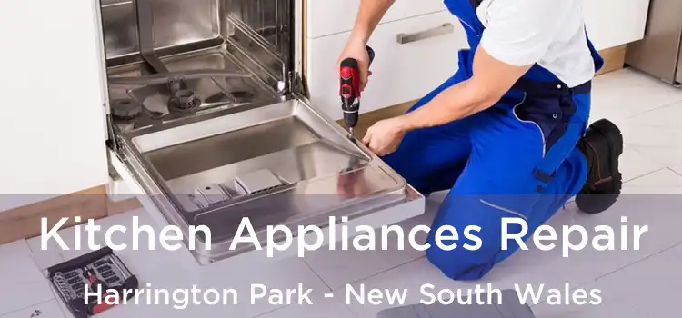 Kitchen Appliances Repair Harrington Park - New South Wales
