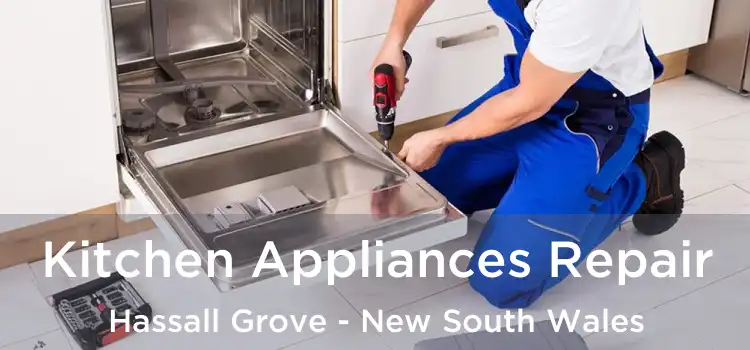 Kitchen Appliances Repair Hassall Grove - New South Wales