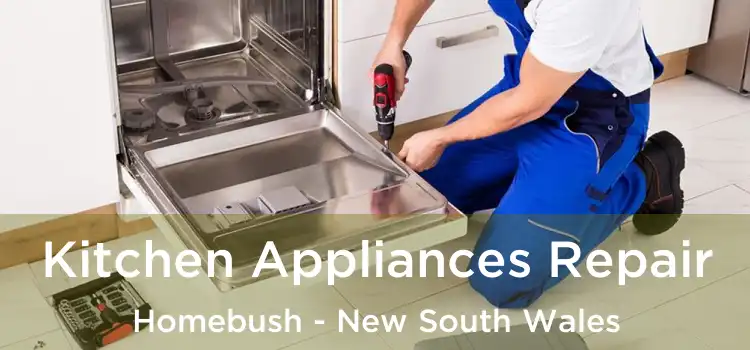 Kitchen Appliances Repair Homebush - New South Wales