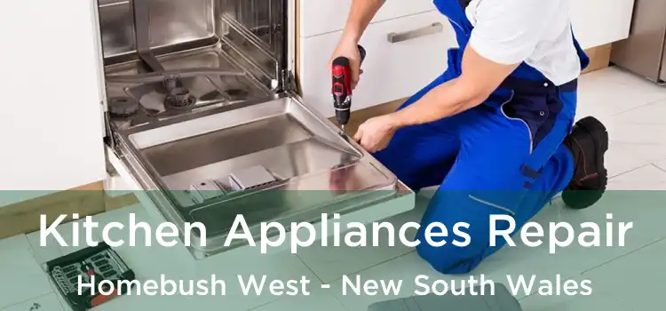 Kitchen Appliances Repair Homebush West - New South Wales