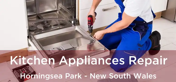 Kitchen Appliances Repair Horningsea Park - New South Wales