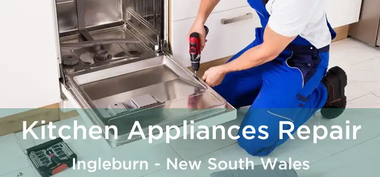 Kitchen Appliances Repair Ingleburn - New South Wales