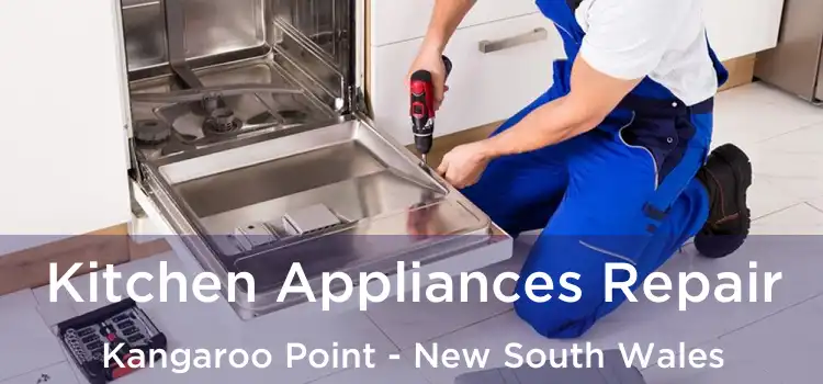 Kitchen Appliances Repair Kangaroo Point - New South Wales