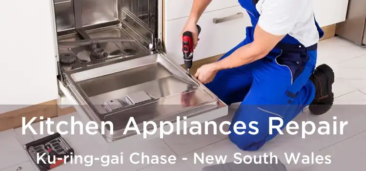 Kitchen Appliances Repair Ku-ring-gai Chase - New South Wales