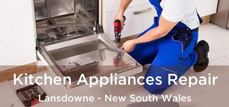 Kitchen Appliances Repair Lansdowne - New South Wales