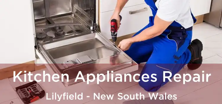 Kitchen Appliances Repair Lilyfield - New South Wales