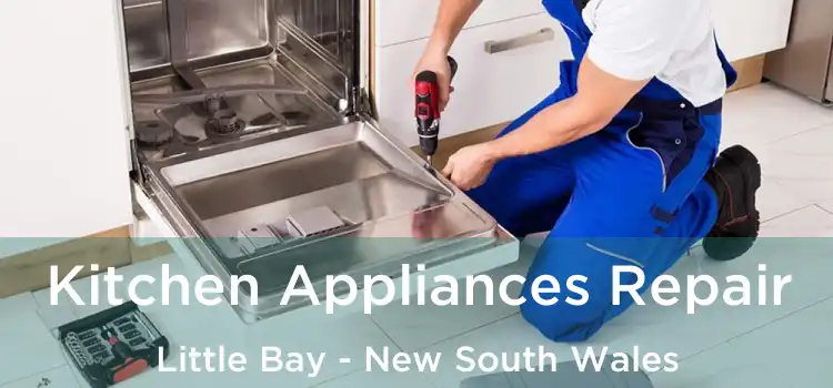 Kitchen Appliances Repair Little Bay - New South Wales