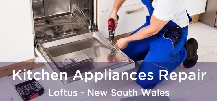 Kitchen Appliances Repair Loftus - New South Wales