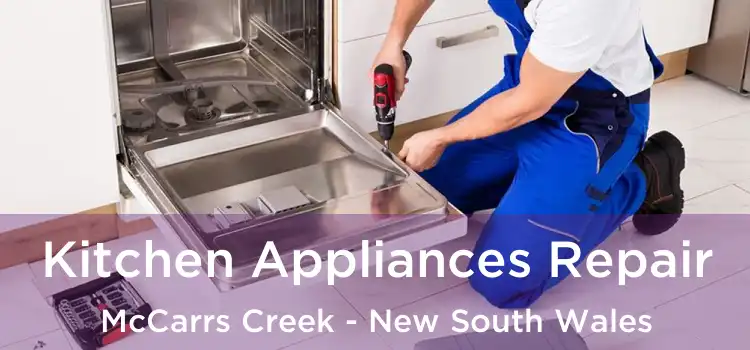 Kitchen Appliances Repair McCarrs Creek - New South Wales