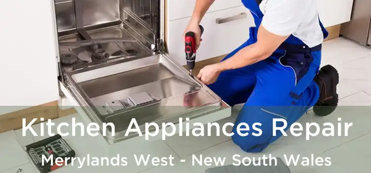 Kitchen Appliances Repair Merrylands West - New South Wales