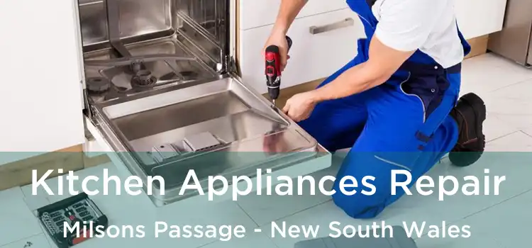 Kitchen Appliances Repair Milsons Passage - New South Wales