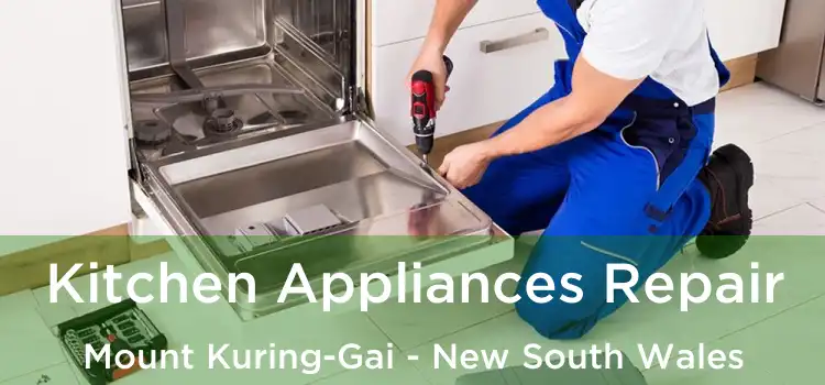 Kitchen Appliances Repair Mount Kuring-Gai - New South Wales