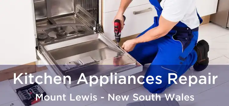 Kitchen Appliances Repair Mount Lewis - New South Wales