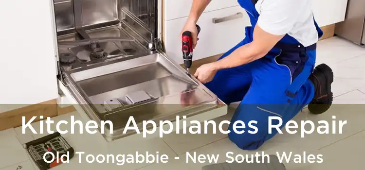 Kitchen Appliances Repair Old Toongabbie - New South Wales