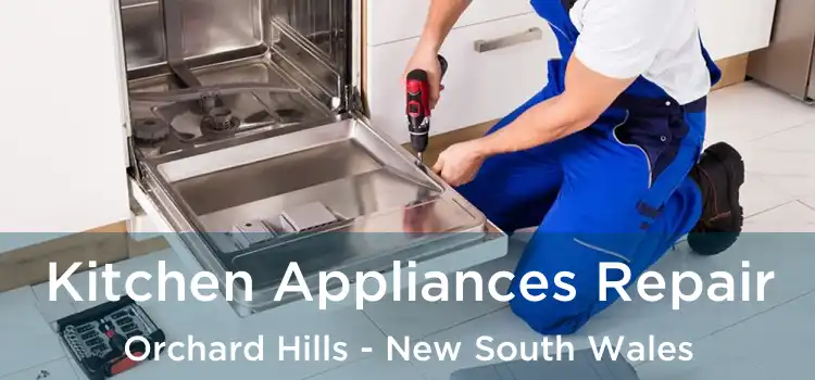 Kitchen Appliances Repair Orchard Hills - New South Wales
