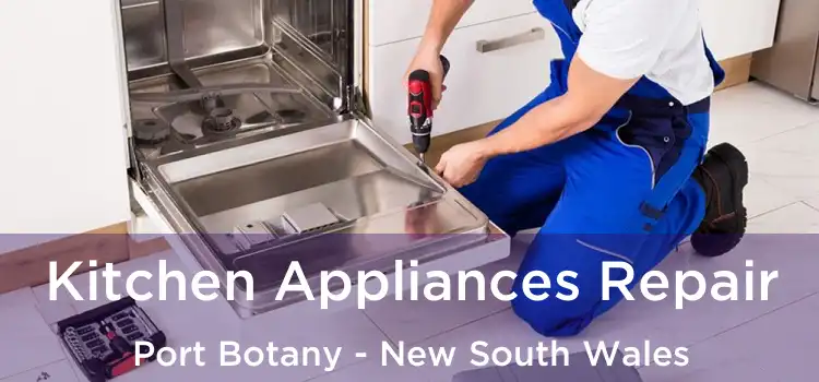 Kitchen Appliances Repair Port Botany - New South Wales
