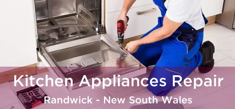Kitchen Appliances Repair Randwick - New South Wales