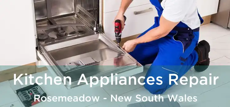 Kitchen Appliances Repair Rosemeadow - New South Wales