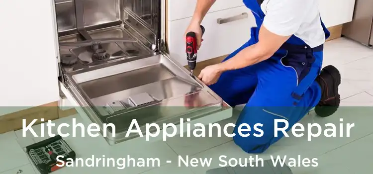 Kitchen Appliances Repair Sandringham - New South Wales
