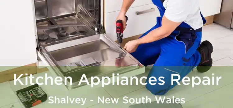 Kitchen Appliances Repair Shalvey - New South Wales