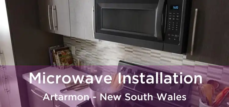 Microwave Installation Artarmon - New South Wales
