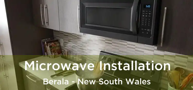 Microwave Installation Berala - New South Wales