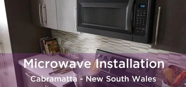 Microwave Installation Cabramatta - New South Wales
