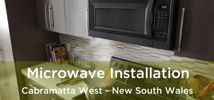 Microwave Installation Cabramatta West - New South Wales