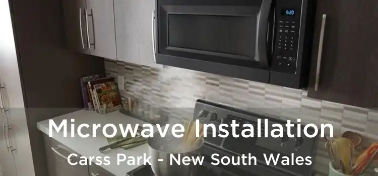 Microwave Installation Carss Park - New South Wales
