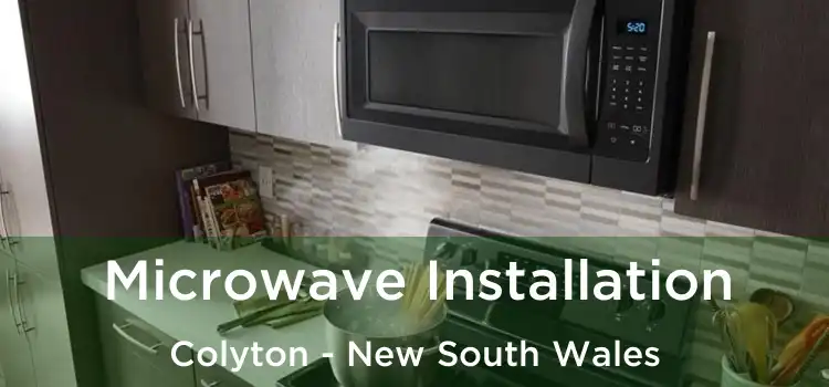 Microwave Installation Colyton - New South Wales