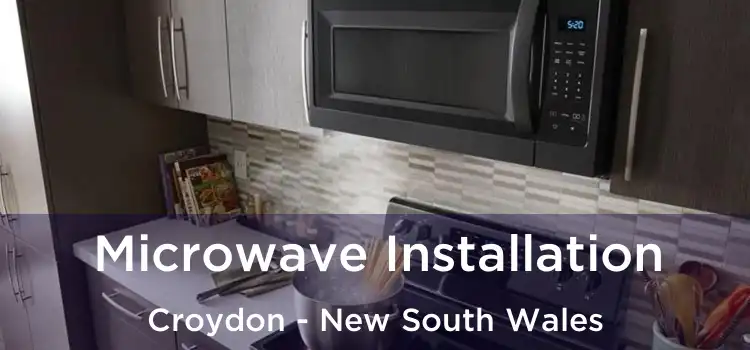 Microwave Installation Croydon - New South Wales