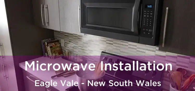 Microwave Installation Eagle Vale - New South Wales